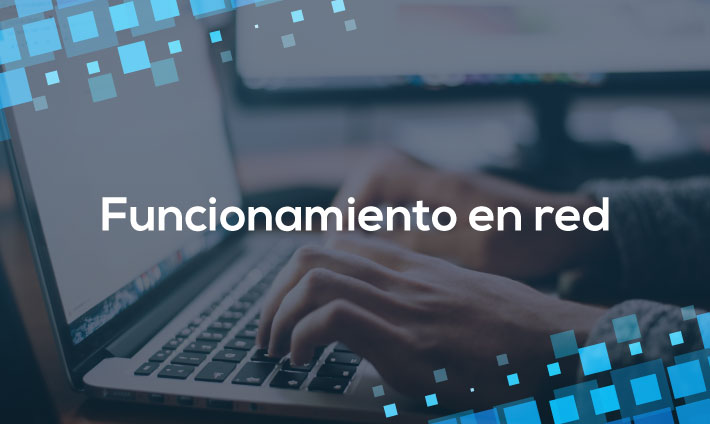 Funcionamiento en Red
